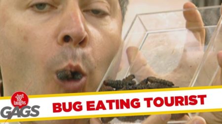 Bug Eating Tourist