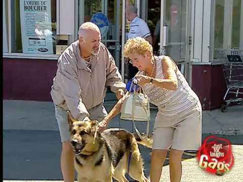 Dog Attacks Meat Man Prank