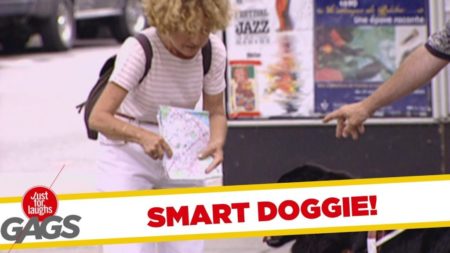 Dog Reading Map Prank!