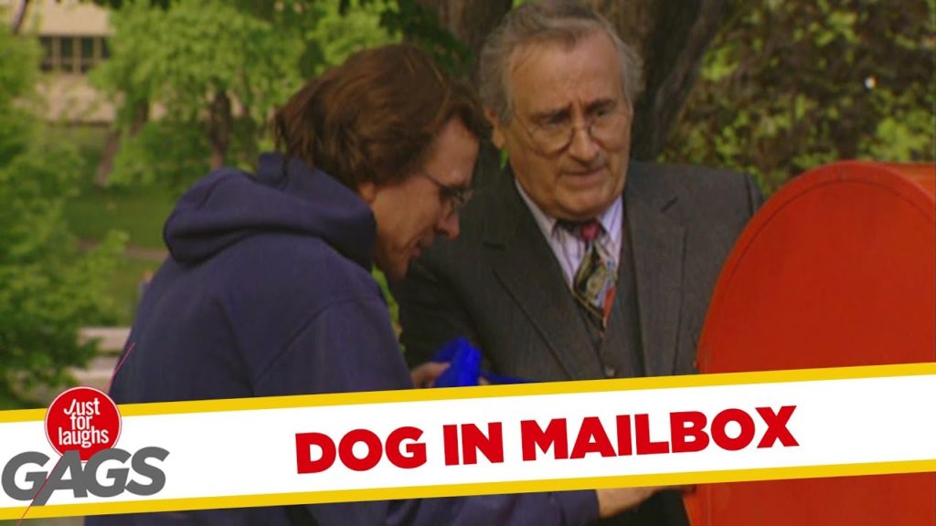 Dog Trapped in Mailbox Gag