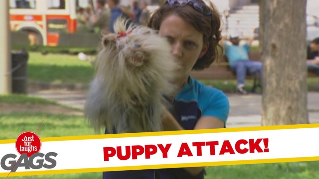 Puppy Dog Attack Prank!
